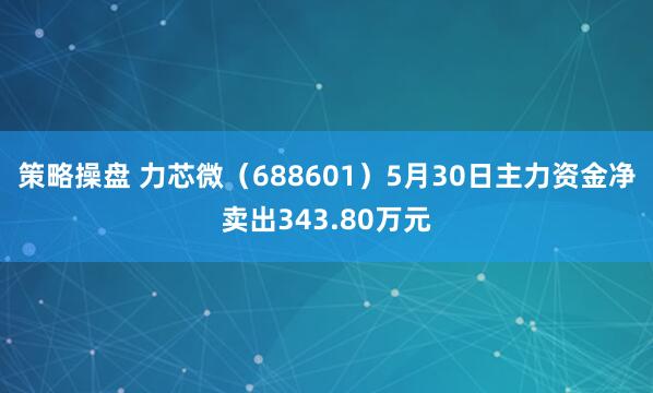 策略操盘 力芯微（688601）5月30日主力资金净卖出343.80万元