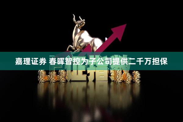 嘉理证券 春晖智控为子公司提供二千万担保