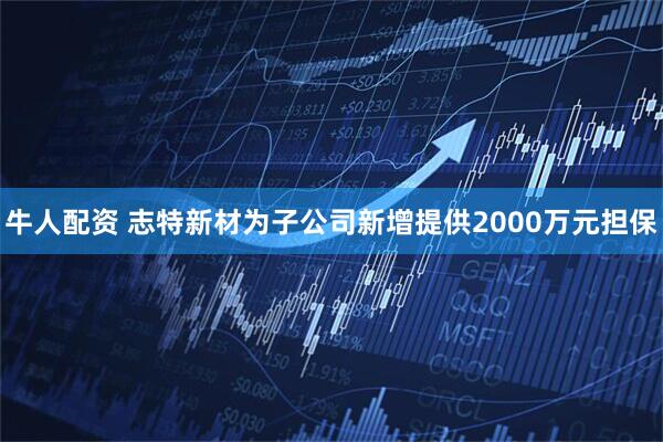 牛人配资 志特新材为子公司新增提供2000万元担保