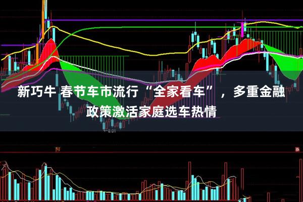 新巧牛 春节车市流行 “全家看车” ，多重金融政策激活家庭选车热情